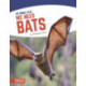 We Need Bats