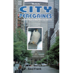 City Peregrines: A Ten-Year Saga of New York Falcons