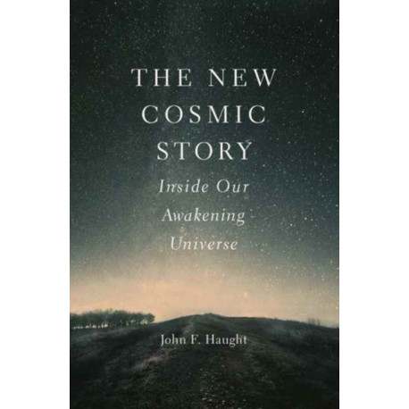 The New Cosmic Story: Inside Our Awakening Universe