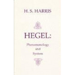 Phenomenology and System