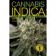 Cannabis Indica Vol. 1: The Essential Guide to the World's Finest Marijuana Strains