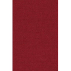 Persian Letters: With Related Texts