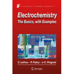 Electrochemistry: The Basics, With Examples