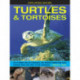 Exploring Nature: Turtles & Tortoises