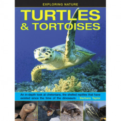 Exploring Nature: Turtles & Tortoises