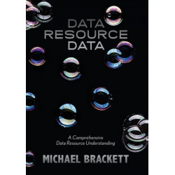 Data Resource Data: A Comprehensive Data Resource Understanding