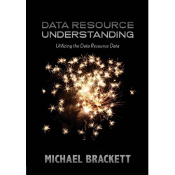 Data Resource Understanding: Utilizing the Data Resource Data