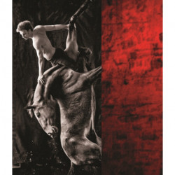 The Rage of Staging: Wim Vandekeybus