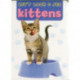 Let's Look & See: Kittens