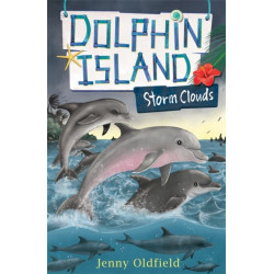 Dolphin Island: Storm Clouds: Book 6