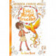 Evie's Magic Bracelet: The Fire Bird: Book 6