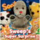 Sweep's Super Surprise