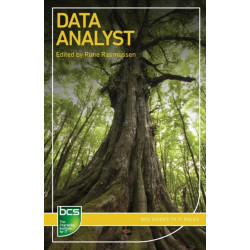 Data Analyst: Careers in data analysis