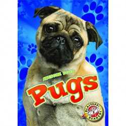 Pugs