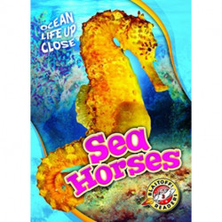 Sea Horses