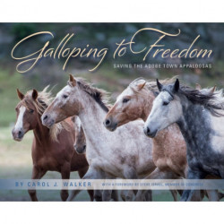 Galloping to Freedom: Saving the Adobe Town Appaloosas