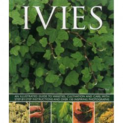 Ivies