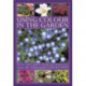 Using Colour in the Gardens