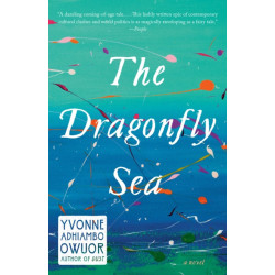 The Dragonfly Sea: A novel