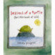 Lessons of a Turtle: (The Little Book of Life)