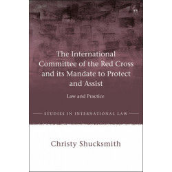 The International Committee of the Red Cross and its Mandate to Protect and Assist: Law and Practice