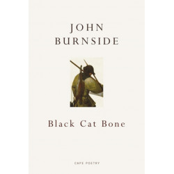 Black Cat Bone