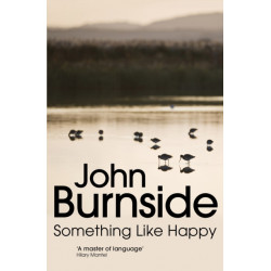 Something Like Happy