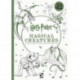 Harry Potter Magical Creatures Postcard Colouring Book: 20 postcards to colour