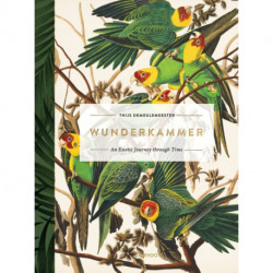Wunderkammer: An Exotic Journey Through Time