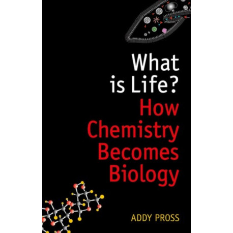 What is Life?: How Chemistry Becomes Biology