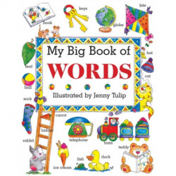 My Big Book of Words