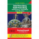Saint Petersburg City Pocket + the Big Five Waterproof 1:12 500