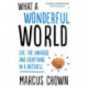 What a Wonderful World: Life, the Universe and Everything in a Nutshell
