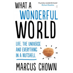 What a Wonderful World: Life, the Universe and Everything in a Nutshell
