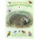 Let's Look for Garden Wildlife