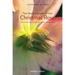 The Healing Power of the Christmas Rose: The Medicinal Value of Black Hellebore