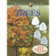 Creative Haven How to Draw Trees: Easy-To-Follow, Step-by-Step Instructions for Drawing 15 Different Popular Trees