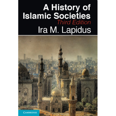 A History of Islamic Societies