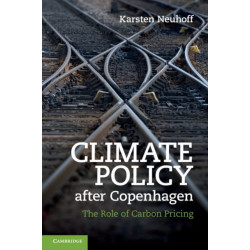 Climate Policy after Copenhagen: The Role of Carbon Pricing