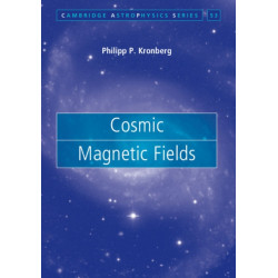 Cosmic Magnetic Fields