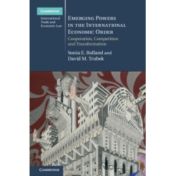 Emerging Powers in the International Economic Order: Cooperation, Competition and Transformation