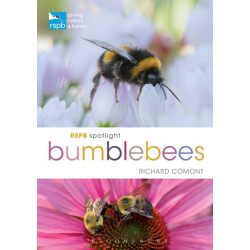 RSPB Spotlight Bumblebees