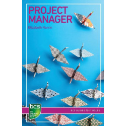 Project Manager: Careers in IT project management