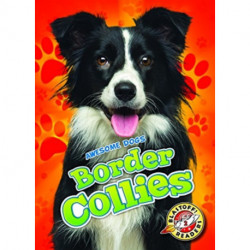 Border Collies