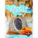 Fossils