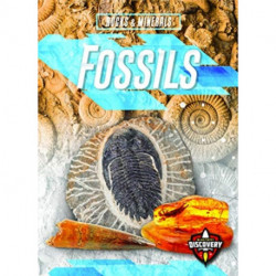 Fossils