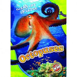 Octopuses