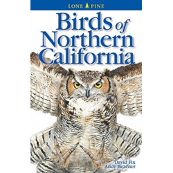 Birds of Northern California