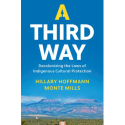 A Third Way: Decolonizing the Laws of Indigenous Cultural Protection