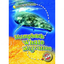Humpback Whale Migration